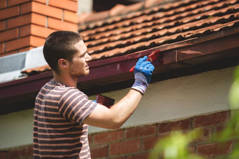 Gutters Painting in Fort Collins, CO